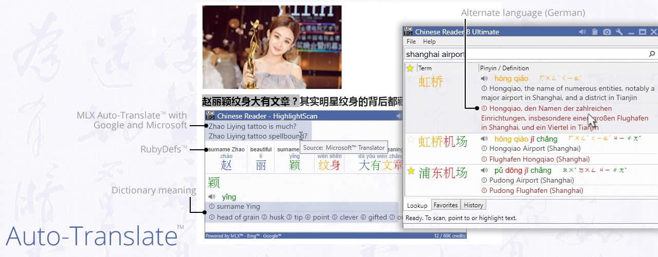 MDBG Chinese Reader 8 - Translate and MLX Auto-translate