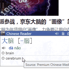 Premium Chinese dictionaries