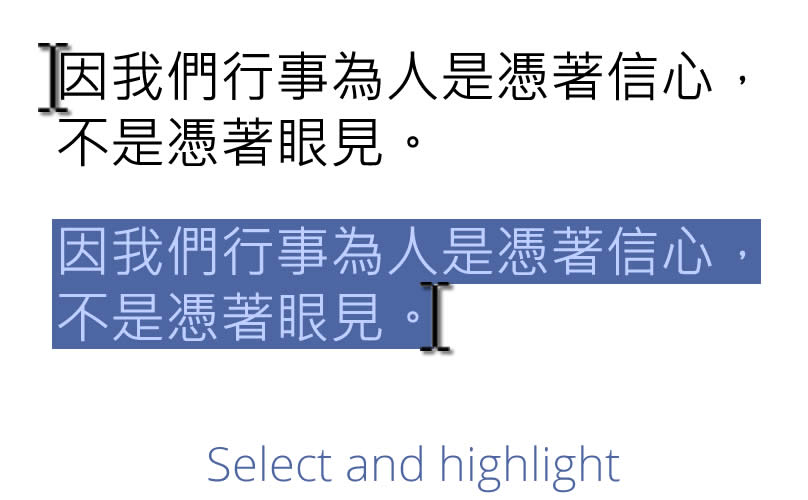 MDBG Chinese Reader 8 - LiveScan